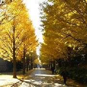 IMG_0146-300.gif