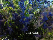 IMG_2356-350.gif